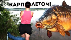 Секреты по ловле карпа летом! Хитрости и советы по ловле карпа летом.
