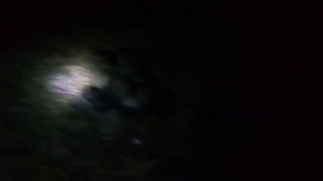 Щенки Ставрополь 6.1.19