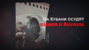 На Кубани осудят дебоширов из Махачкалы