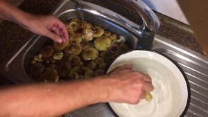 Грибы "Зелёнки" или "Зеленушки".