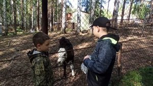 СК Курганово , спорт, отдых, природа , рыбалка на Верхнемакаринском вод..., под Екатеринбургом.