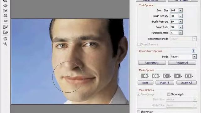 основы шаржа смотреть онлайн