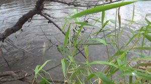 Видеоотчёт о рыбалке, река Иня. район Титова 28-29 сентября 2018 года