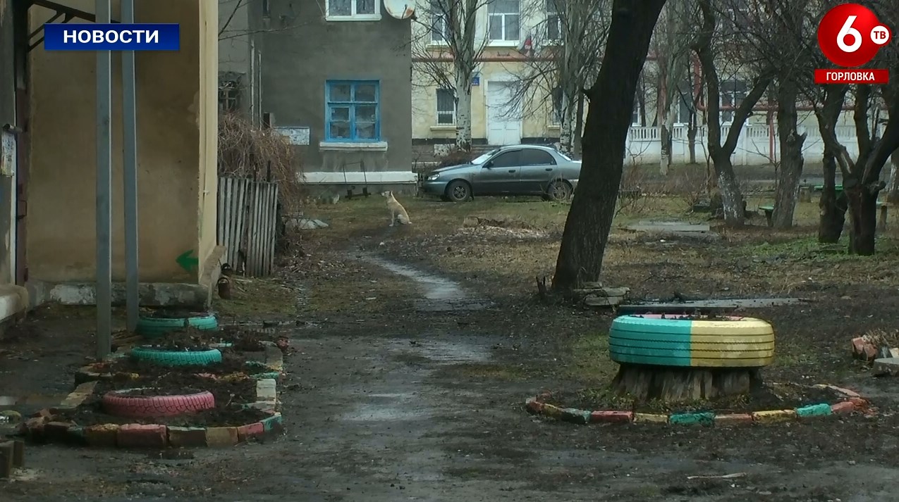 Суровые коты донбасса горловка