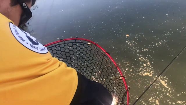 Форель. РК Фишка Петряиха смотреть онлайн