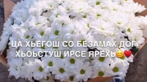 Нана❤️Марнана