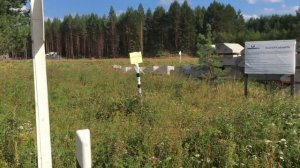 Россия Архангельская область ж.д.ст. Виледь пригород города Котлас река Виледь август лета 2023/753