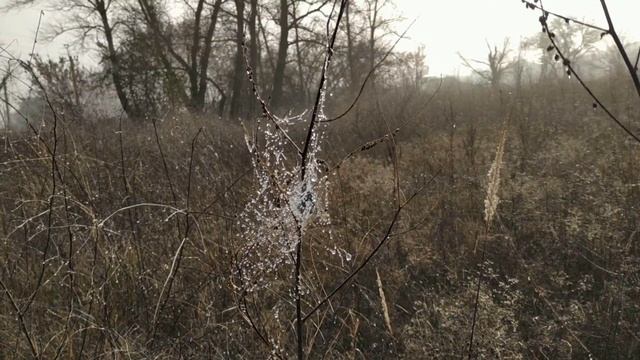 23 ноября праздник Родион и Ераст . Народные приметы и традиции