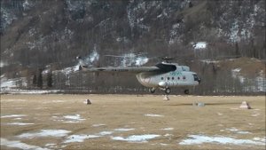 Тофалария