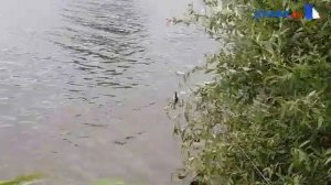Рыбалка на Сене. Франция. Супер улов :)