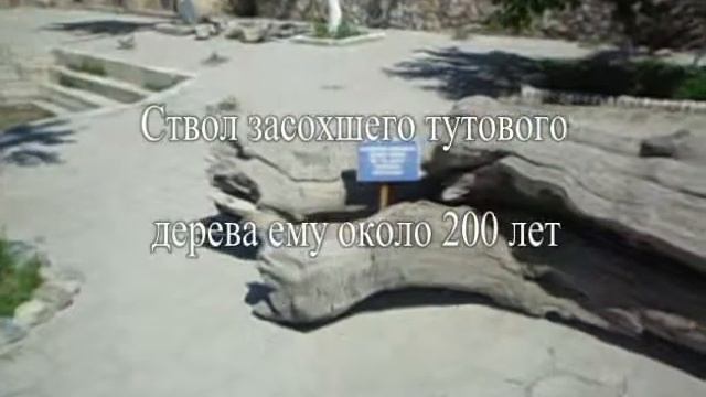 Бухара ЧорМинор