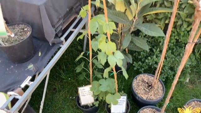 St Jean De Beauregard Notre Stand смотреть онлайн