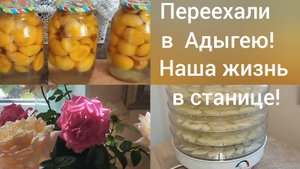 Живём в Адыгее/Сушим дыни и варим компот и варенье /Наша повседневная жизнь на юге/