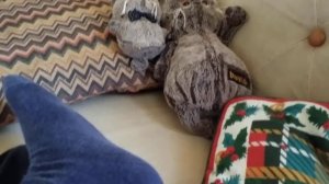 Друг Басик  и  мини-Басик  попали  в  больницу