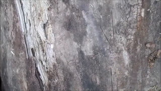 Как сделать поводки для ловли рыбы! смотреть онлайн