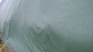 Пастбищный сезон завершён. Гроза в октябре.