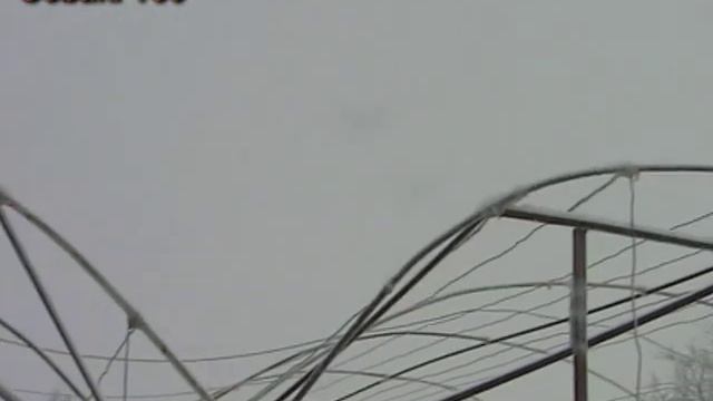 Выращивание клубники Зимой. Клубничный бизнес смотреть онлайн