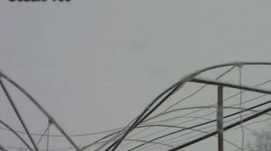 Выращивание клубники Зимой. Клубничный бизнес