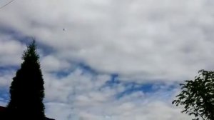 Ленинаканские голуби 2018, 8-965-167-05-50