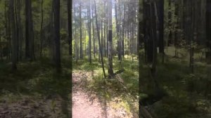 Нудистский пляж флюс Екатеринбург 2022