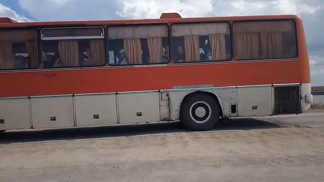 ИКАРУС 256 неподалеку от солёных озёр (Арабатская стрелка) смотреть онлайн