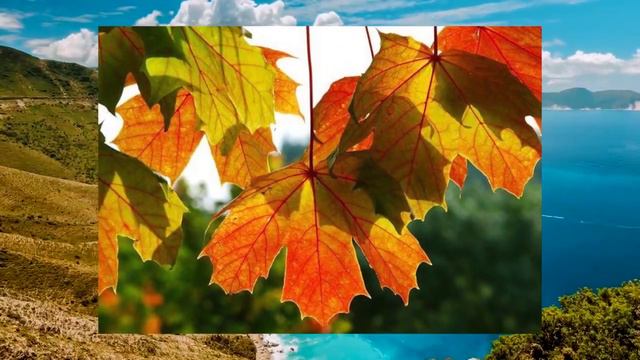 YEMU смотреть онлайн