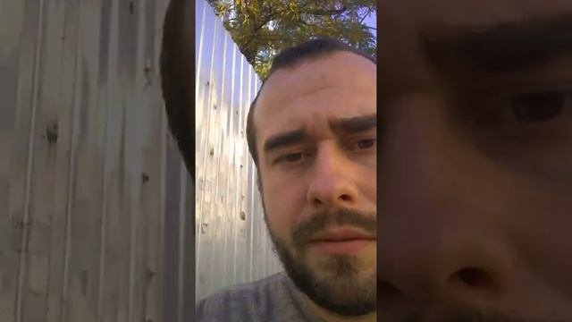 Заборы