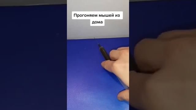 Как избавиться от мышей без мышеловки и отравы