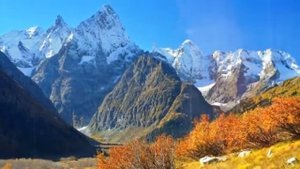 Даже учёные были шокированы,узнав от чего на самом деле погиб Сергей Бодров-младший!!