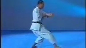 Shotokan Karate Kata   23   Wankan