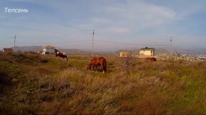 Тепсень, где соединились археология и лошади