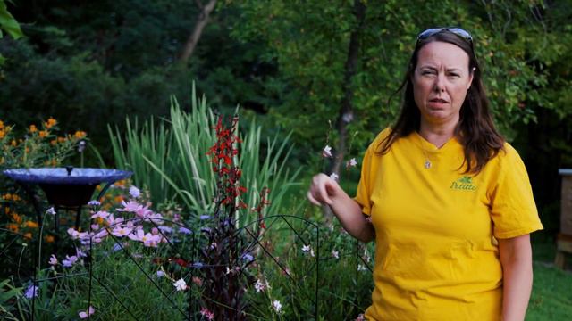 PETITTI | Pollinator Garden Tour смотреть онлайн