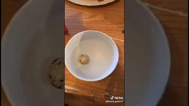 Выращюем из магазиного пирипелиного яйца цыплёнка.Ребят это может не робочий способ но попробуйте смотреть онлайн