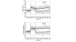 The physiology of angiotensin II Rinaldo Bellomo