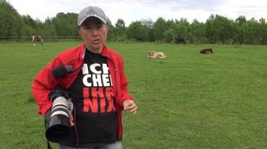 Уход за ногами лошади - нужен или нет и почему.
