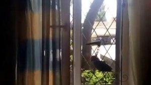 Обзор номера 3_0_360p