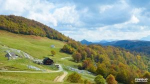 10. Аудио урок для взрослых дифференциация звук Р - Рь.