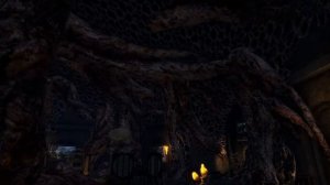 ESO: Home Tour - Tel Galen - Telvanni Mushroom House