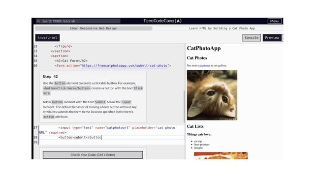 Building a Cat Photo App: FreeCodeCamp HTML Basics - Section 1 Responsive Web Design Walkthrough