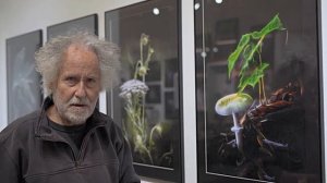 Dr. Jim Shirey Explains his Mushroom Photo