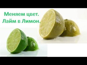 Урок 6-7 Лайм становится Лимоном Меняем цвет