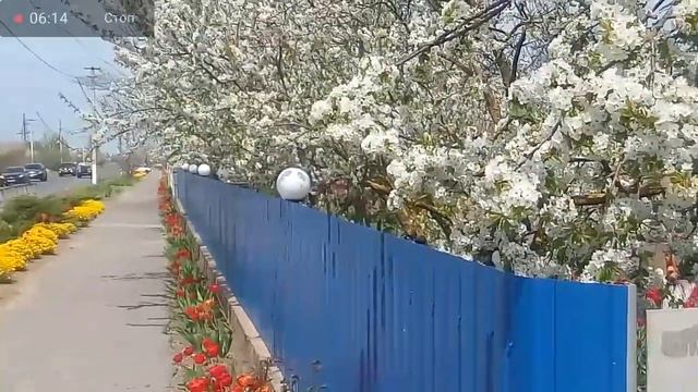 ЭТИ ЛЮДИ ПОСТОЯННО ДАРЯТ КРАСИВЫЕ ВЕЩИ ПРОХОЖИМ - ОЧЕНЬ БОГАТЫЕ 10.05.2021 смотреть онлайн