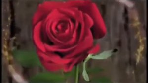 Такая красивая мелодия, что я плачу слушая         Шедевр  You can listen to this music forever
