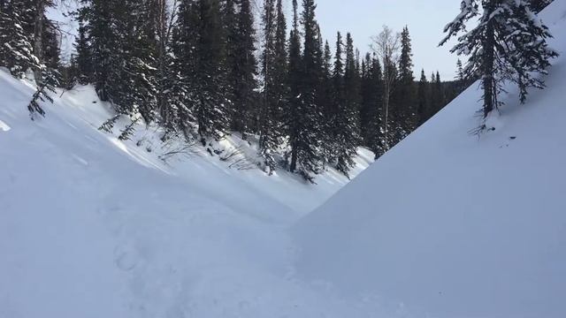 ПРИИСКОВЫЙ ! Ручеёк часть 1 смотреть онлайн