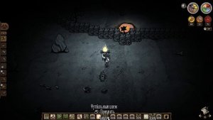 Рофло гайд на муху в Dont Starve Together