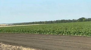 Дорога в Анапу на машине по трассе М4 Дон. Пробки по Краснодарскому краю