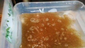 Красноухие черепахи. Как лечить линьку. Болезни. Грибок кожи