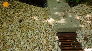 [4K]Задыхание природы/Мусор/Отношение людей к природе