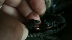 Как поменять антифриз ВАЗ 2110