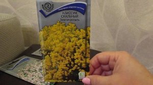 Неприхотливые многолетники для альпийской горки.